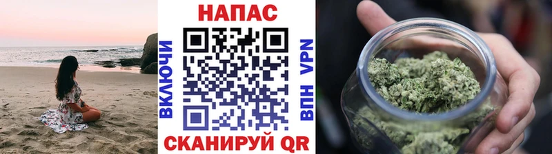 продажа наркотиков Нестеров Бошки Шишки ГИДРОПОН